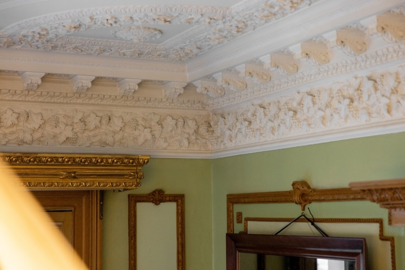 Dicksonska Palace design