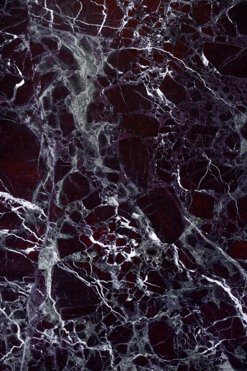 Dicksonska Palace design