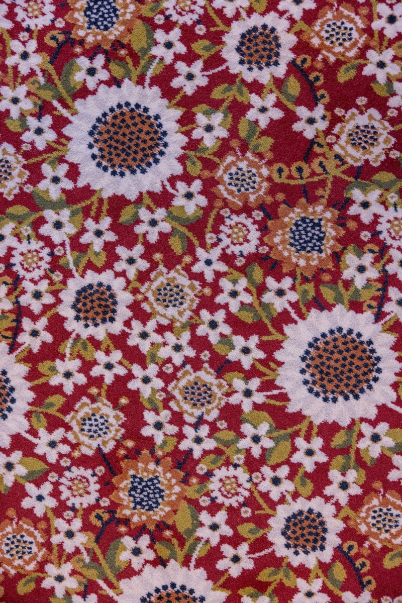 Dicksonska Palace Design