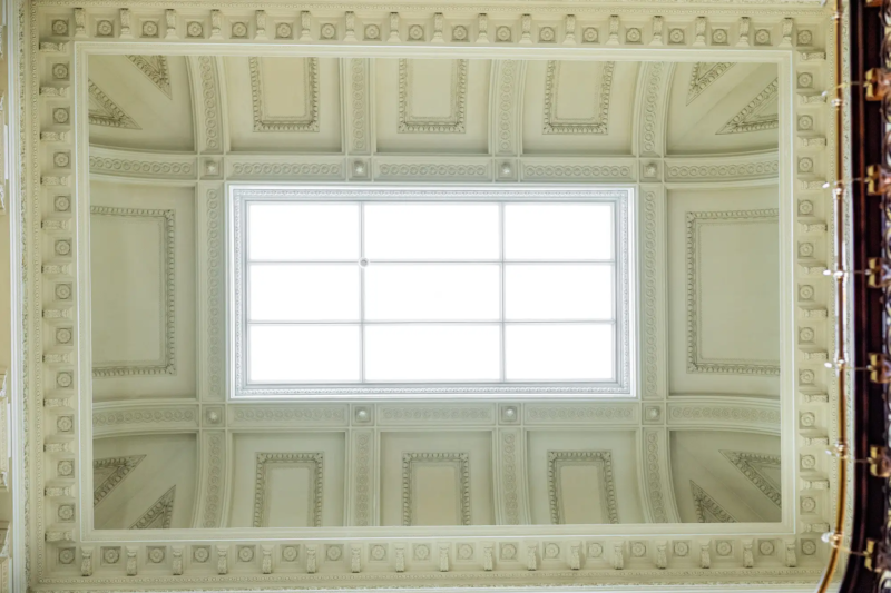 Dicksonska Palace design